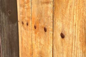 Sculpt-Art-Entry-Garage-Doors-27-767x1024 Sculpt-Art-Entry-Garage-Doors-27-767x1024