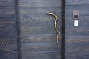 Sculpt-Art-Entry-Garage-Doors-38-767x1024 Sculpt-Art-Entry-Garage-Doors-38-767x1024