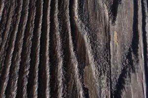 Sculpt-Art-_Samples-2