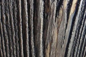 Sculpt-Art-_Samples-3-623x1024