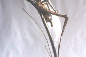 Sculpt-Art_Brass-Bronze-9