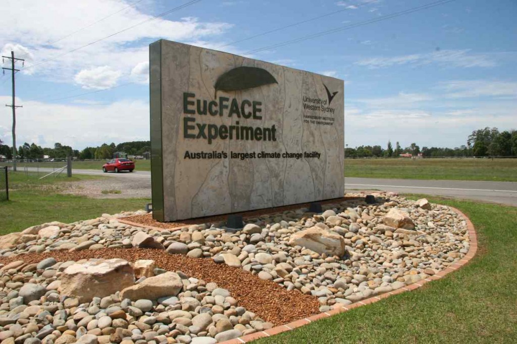 Sculpt-Art_Murals-Signage-1-1024x682