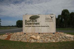 Sculpt-Art_Murals-Signage-2-1024x682